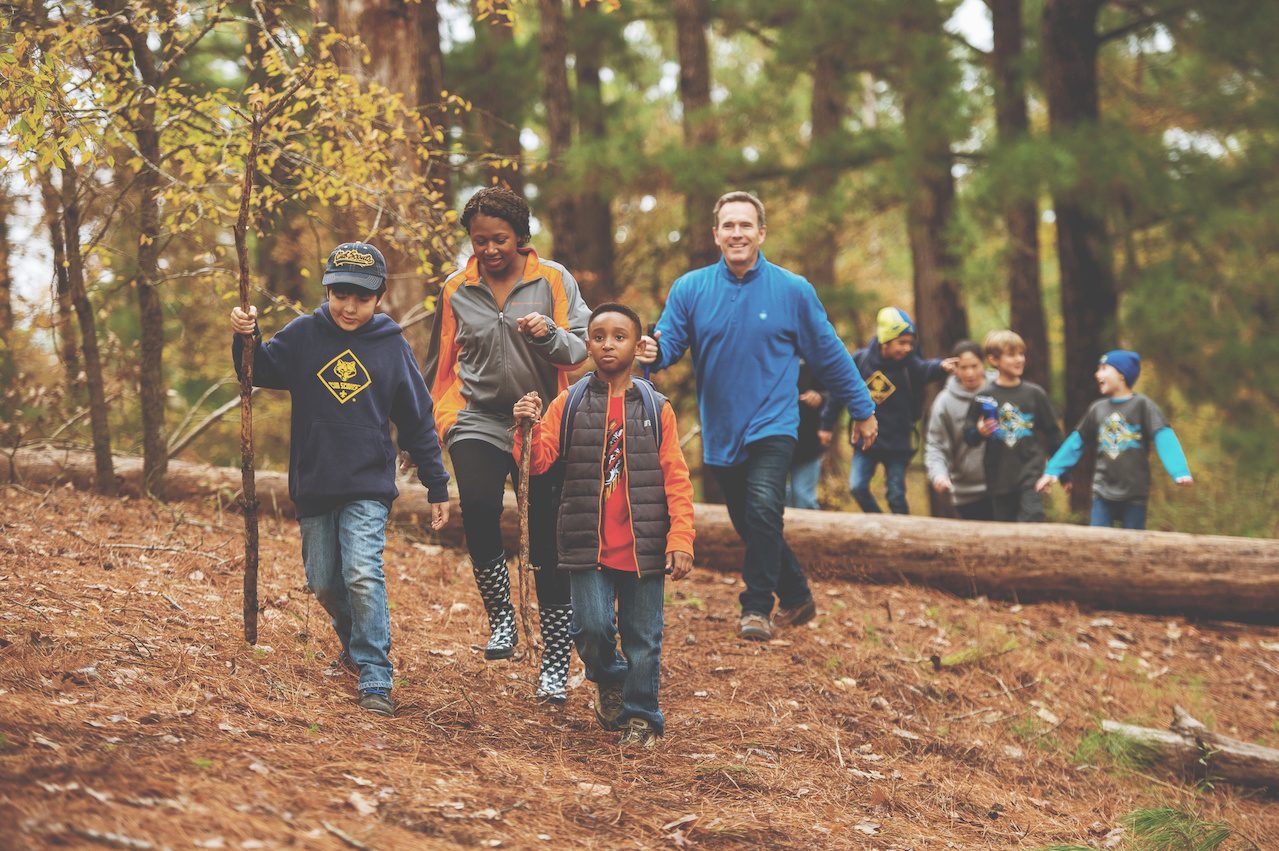 Cubs make their way through a pine forest.